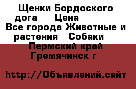 Щенки Бордоского дога.  › Цена ­ 30 000 - Все города Животные и растения » Собаки   . Пермский край,Гремячинск г.